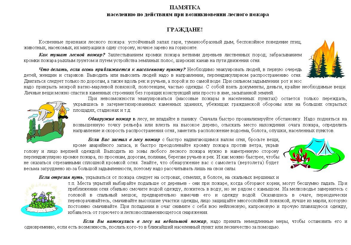 При лесном пожаре необходимо. Памятка для населения. Памятка действий при возникновении лесного пожара. Памятка по действиям при возникновении лесного пожара. Памятка населению по предупреждению лесных пожаров.